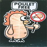 Avatar de l’utilisateur
