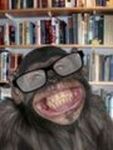 Avatar de l’utilisateur